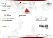 9.68/CT Natural Triangular Red Coral-2500